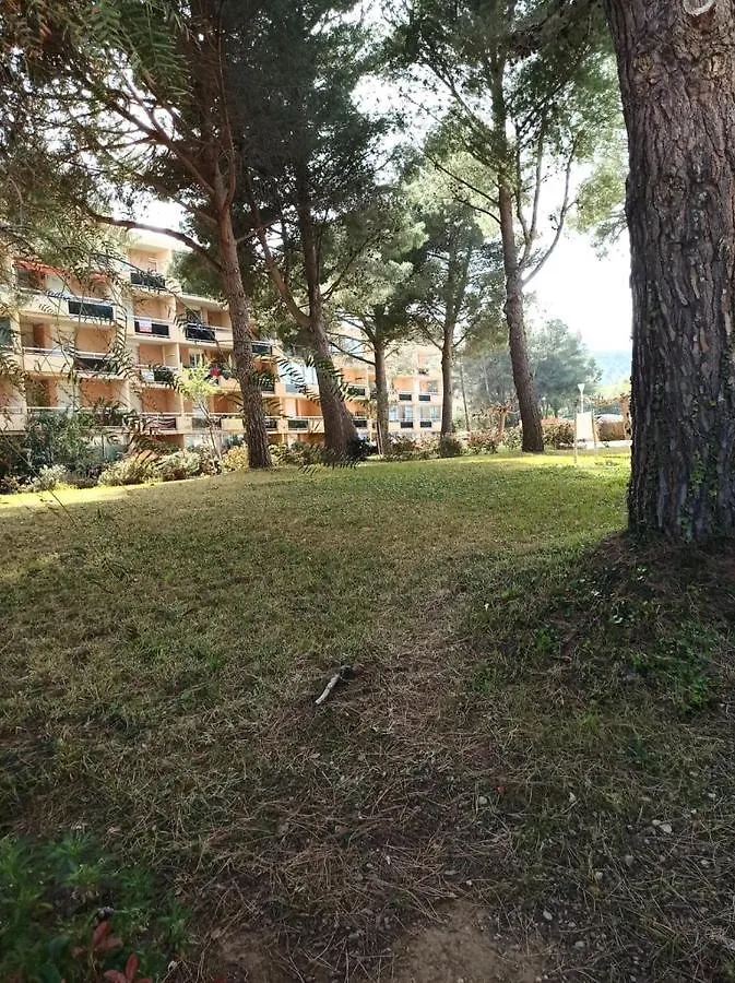 Les Embruns Apartment Bormes-les-Mimosas